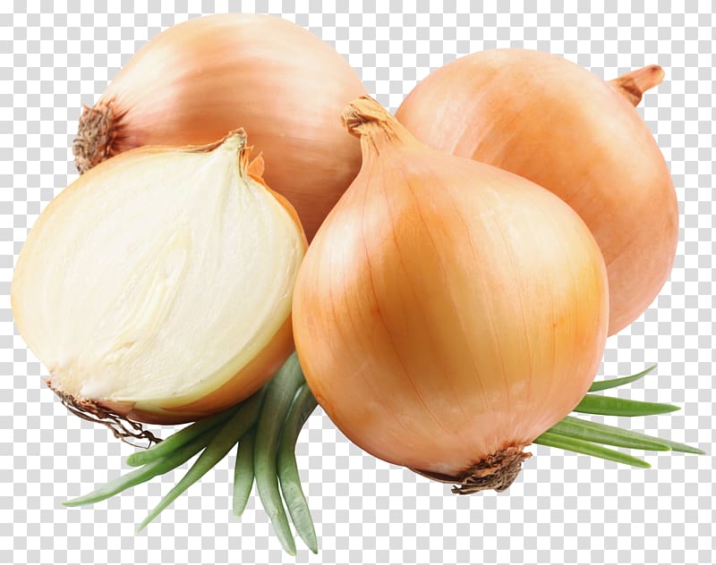 French onion soup Yellow onion, Vegetable border transparent background PNG clipart