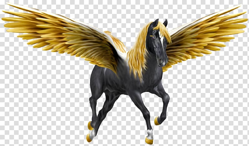 Pegasus Winged unicorn Horse, pegasus transparent background PNG clipart