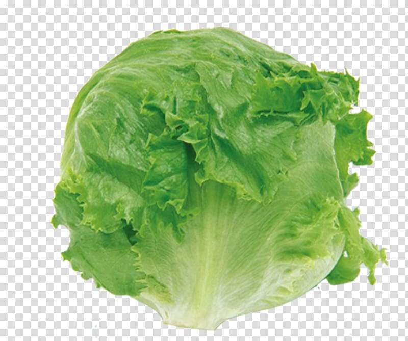 Vegetable Chanpuru016b Fruit Lettuce Cabbage, green vegetables transparent background PNG clipart