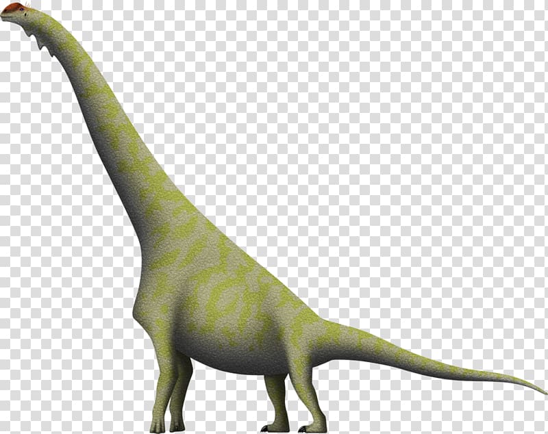 Brachiosaurus Diplodocus Giraffatitan Dinosaur Dry Mesa Quarry, dinosaur transparent background PNG clipart