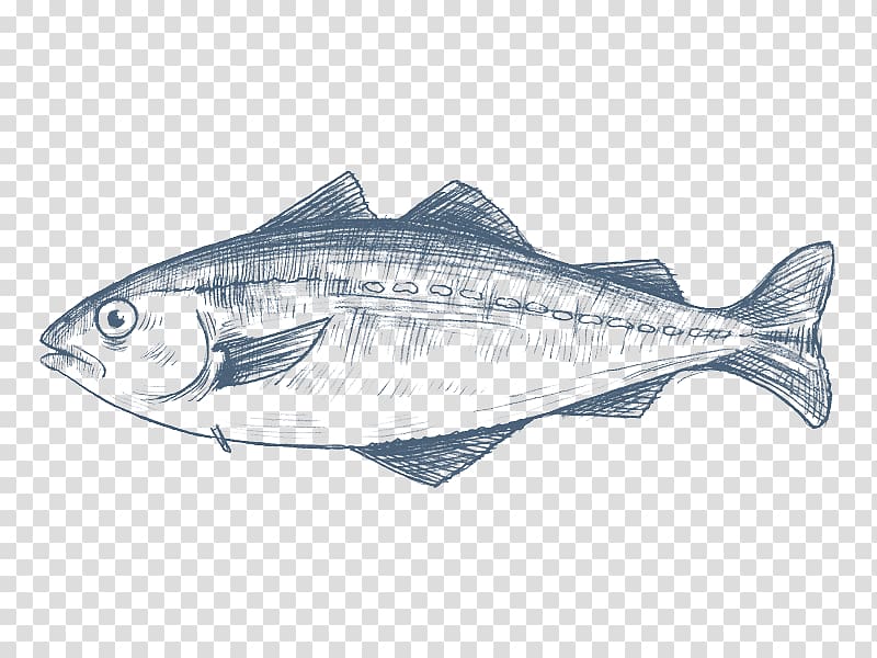 Pollack Fish products Cod Pollock, fish transparent background PNG clipart