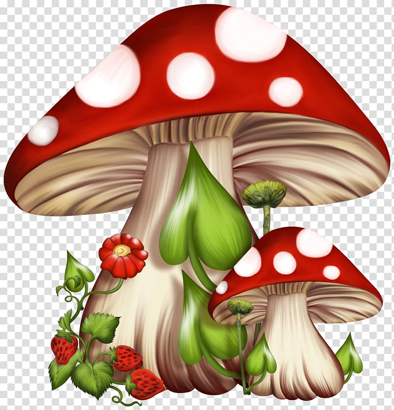 Psilocybin mushroom Fungus , mushroom transparent background PNG clipart