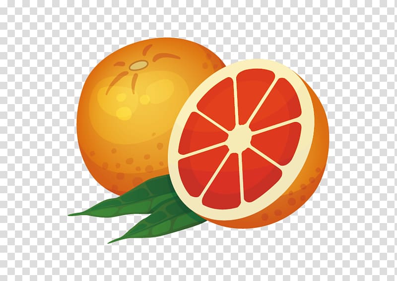 Orange Icon, Grapefruit transparent background PNG clipart
