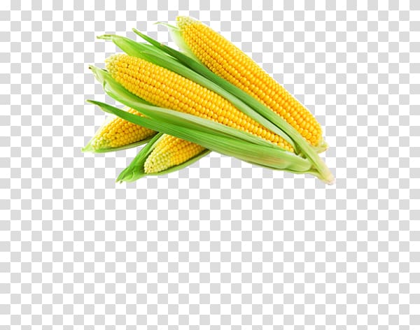 Vegetable Sweet corn Corn kernel Food Cereal, sweet corn transparent background PNG clipart