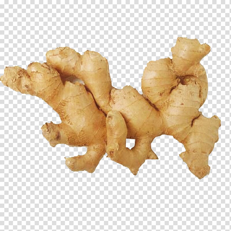 Juice Ginger tea Organic food Alpinia galanga, Fresh ginger transparent background PNG clipart