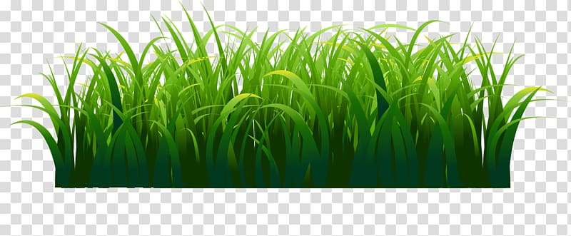 Green Watercolor painting, Hand painted green grass transparent background PNG clipart