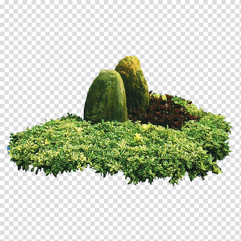 Landscaping Landscape Garden Greening, Landscaping belt clip transparent background PNG clipart