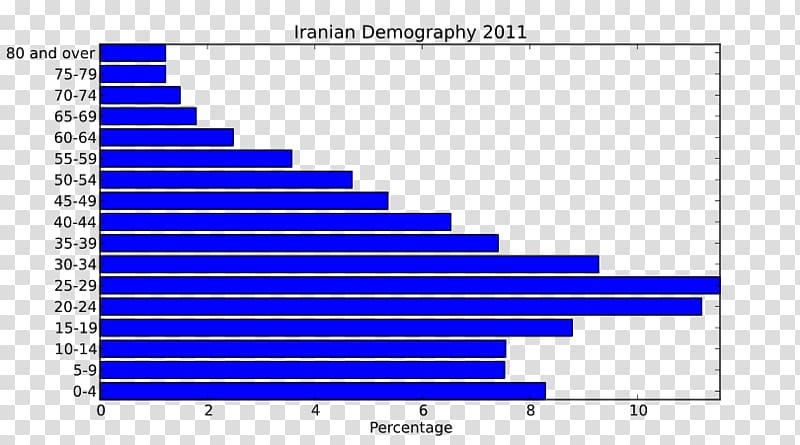 Iran Population pyramid Population growth Average, others transparent background PNG clipart