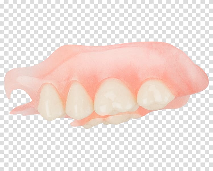 Oral hygiene Mouth Dentures Tooth Jaw, Top Angle transparent background PNG clipart