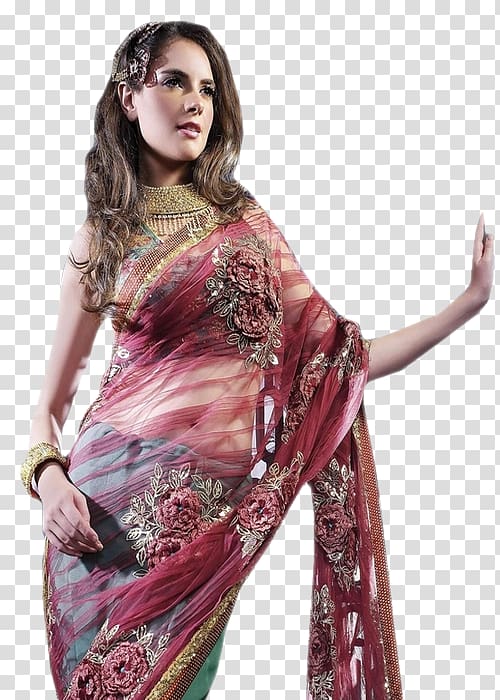 Norwegian krone Fashion Blog Sari Magenta, Indian Woman transparent background PNG clipart