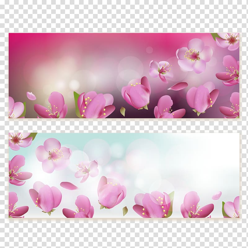 Flower Cherry blossom , Cherry decorative background transparent background PNG clipart