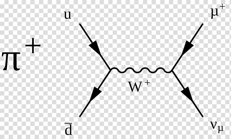 Particle physics Pion Weak interaction Particle decay Feynman diagram, Pion transparent background PNG clipart