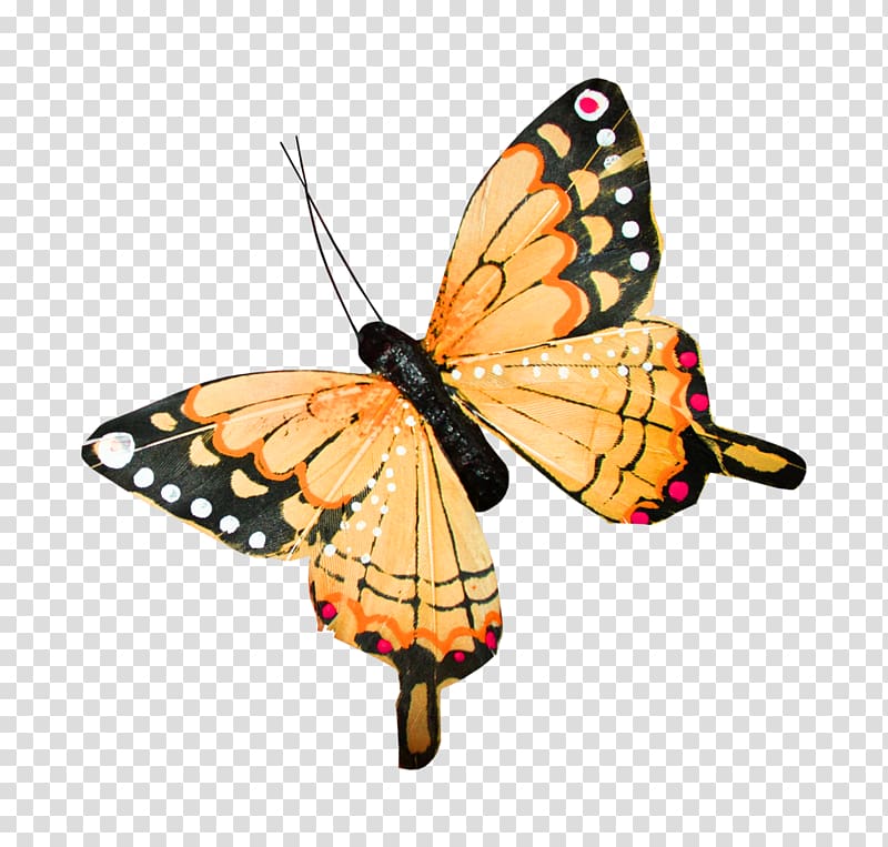 Icon, Butterfly wings transparent background PNG clipart