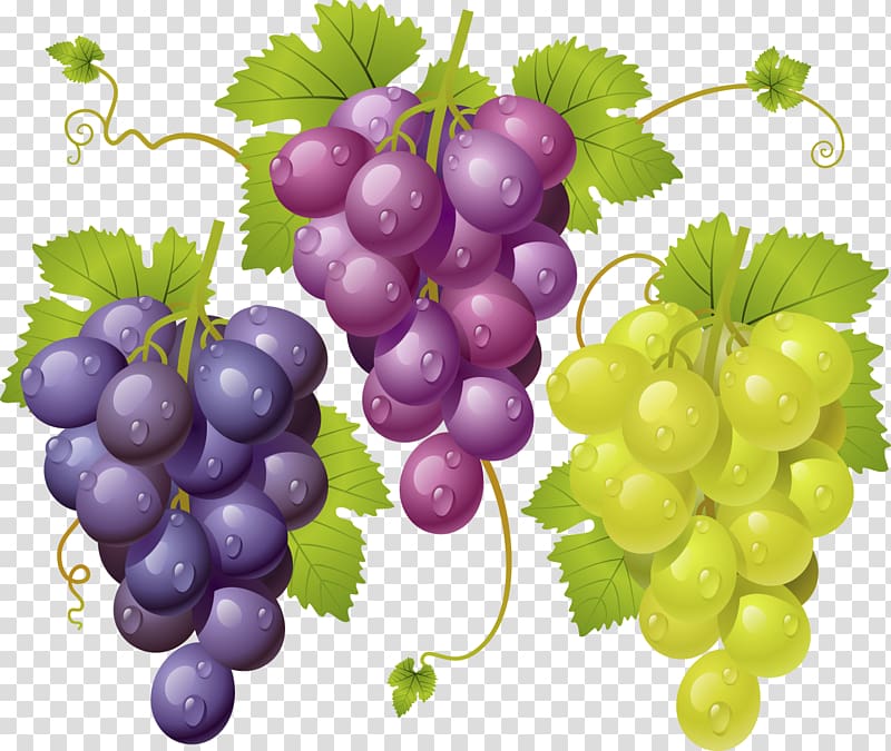 Kyoho Juice Grape Drawing, cherry fruit grape transparent background PNG clipart