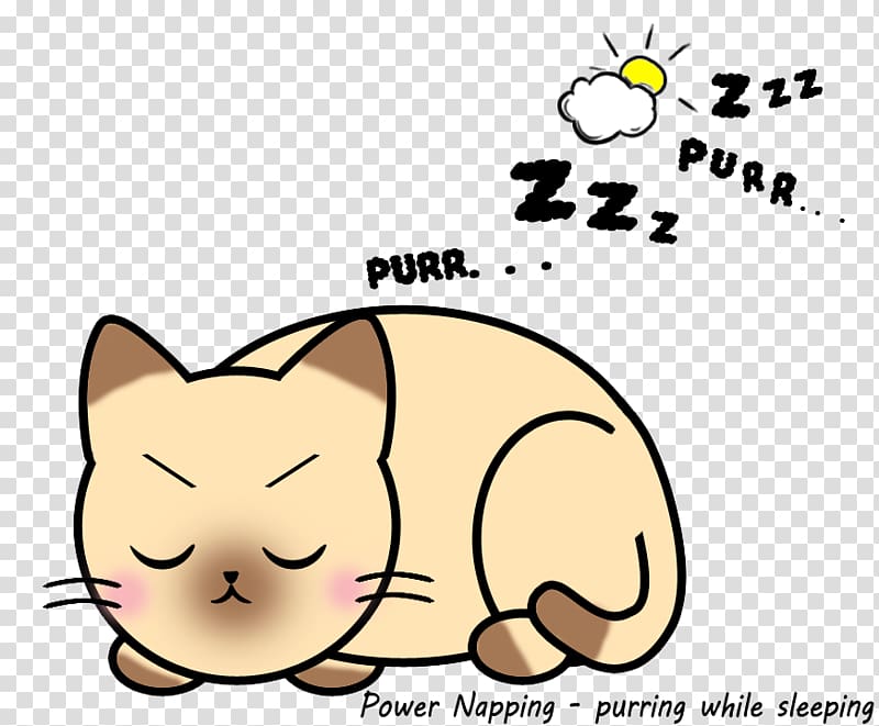 Kitten Whiskers Cartoon Power nap, kitten transparent background PNG clipart