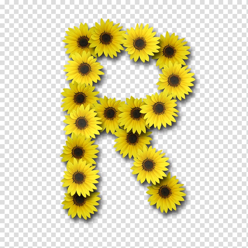 Alphabet Letter J, sunflower transparent background PNG clipart