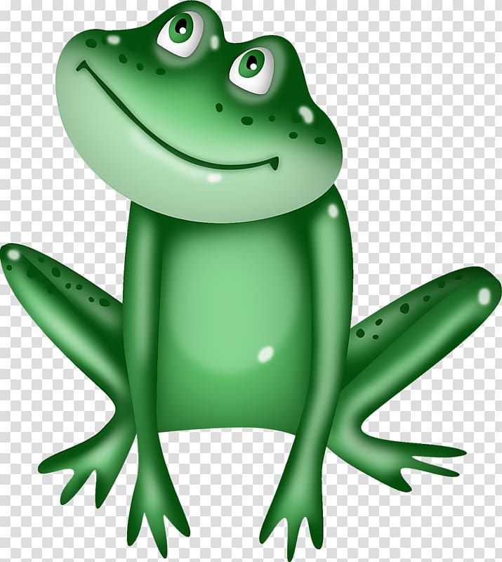 Tree frog Toad True frog American bullfrog, frog transparent background PNG clipart