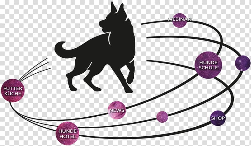 Cat Dog Puppy Obedience school, Cat transparent background PNG clipart