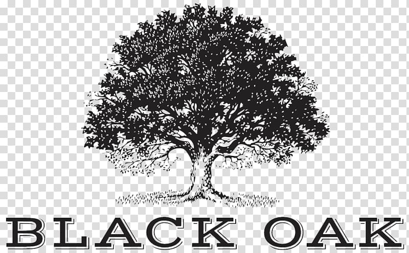 Black oak Wine Cabernet Sauvignon Tree Logo, wine transparent background PNG clipart