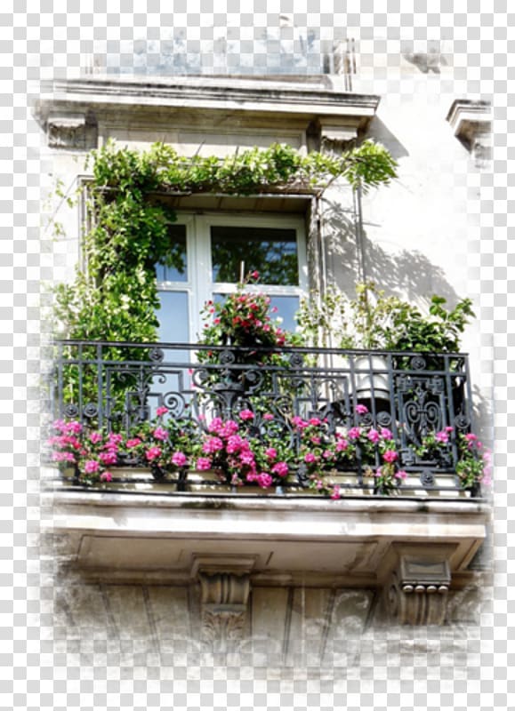 Window Facade Flower Property Balcony, window transparent background PNG clipart