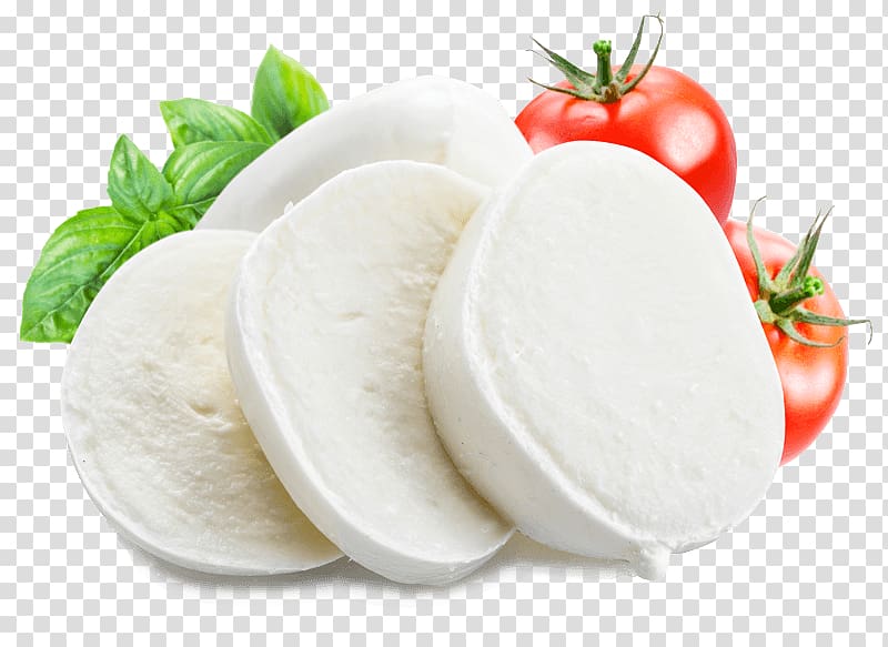 tomatoes and radish illustration, Mozzarella Lasagne Vegetarian cuisine Pizza Cheese, latte transparent background PNG clipart