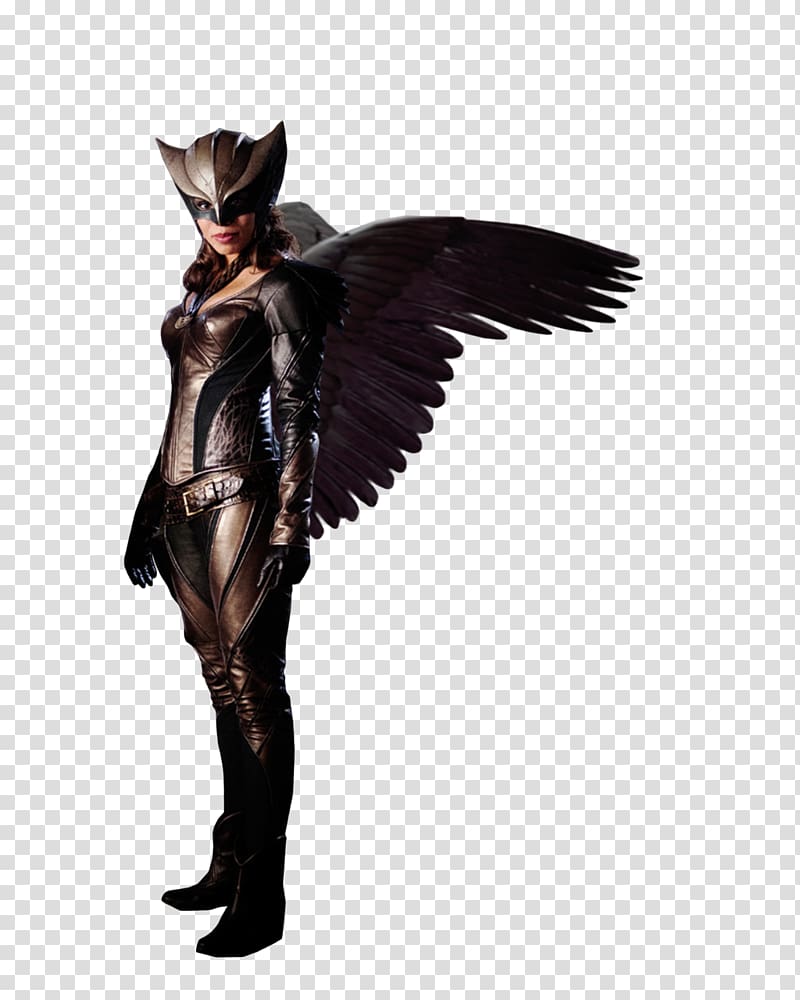 Hawkgirl Hawkman (Katar Hol) Hawkwoman , hawkgirl transparent background PNG clipart
