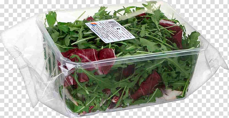 Salad Herb Price Artikel Arugula, salad transparent background PNG clipart