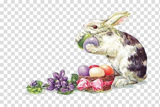 Easter Bunny Easter postcard Rabbit Greeting card, Hand-painted rabbit transparent background PNG clipart