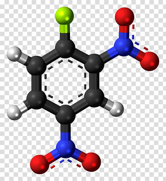 Benzoic acid Chemical compound Molecule Chemical substance, others transparent background PNG clipart