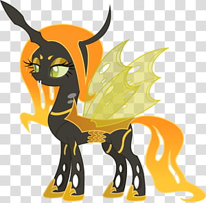 Cat Horse Mammal Pony , Cat transparent background PNG clipart thumbnail