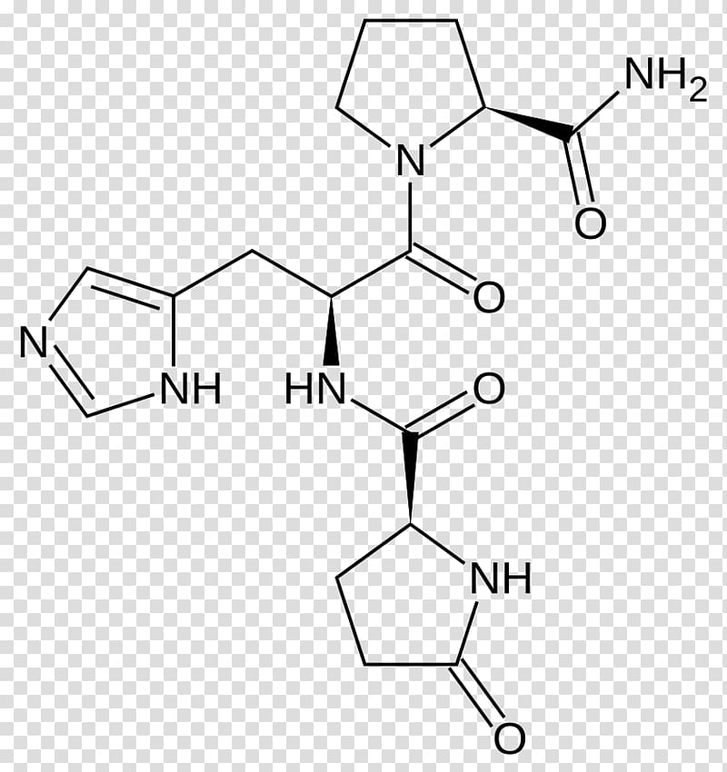 Thyrotropin-releasing hormone Thyroid-stimulating hormone Releasing and inhibiting hormones Corticotropin-releasing hormone, others transparent background PNG clipart