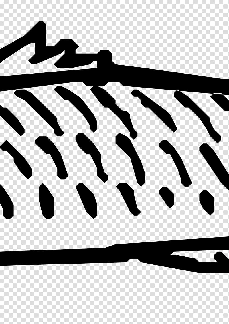 Fish scale , packed transparent background PNG clipart