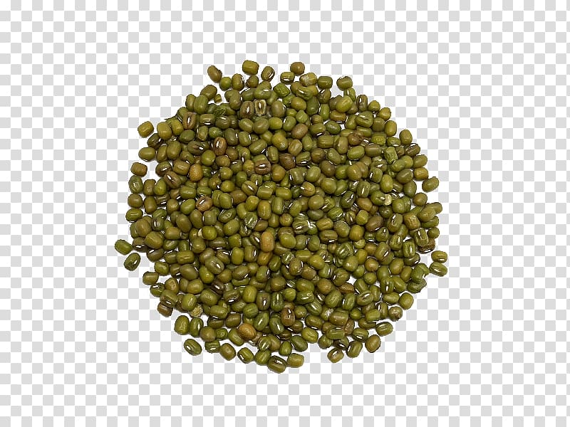 Mung bean Lentil Vegetarian cuisine Legume Food, soja transparent background PNG clipart