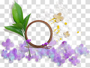 Petal Flower Desktop , design transparent background PNG clipart thumbnail