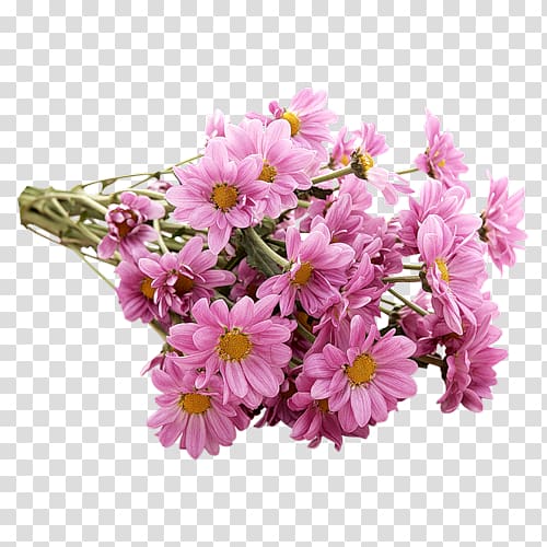 Blog Flower , flower transparent background PNG clipart