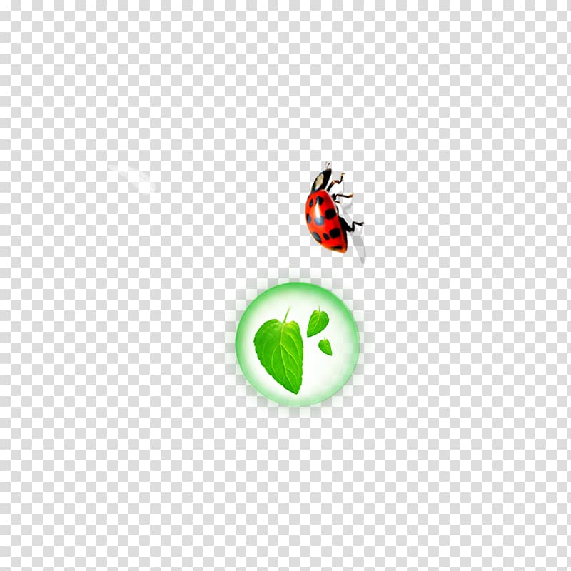 Insect Leaf Euclidean Icon, Insect leaves transparent background PNG clipart