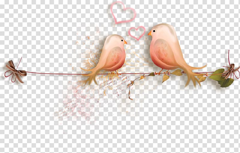 Love, Amour transparent background PNG clipart