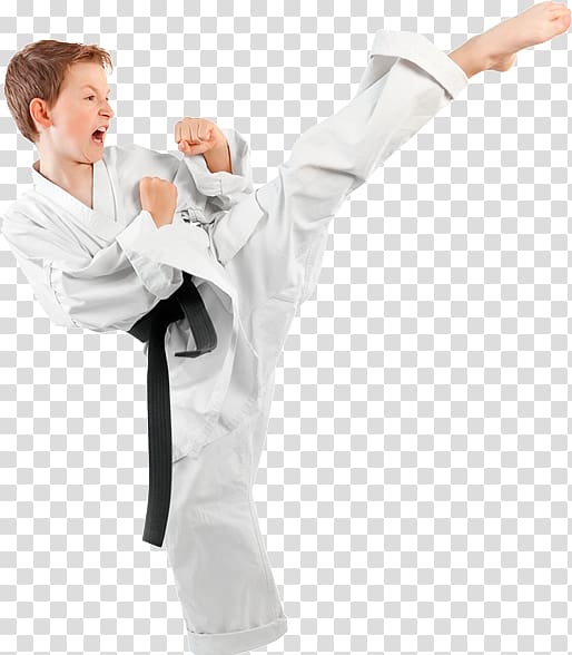 Karate transparent background PNG clipart