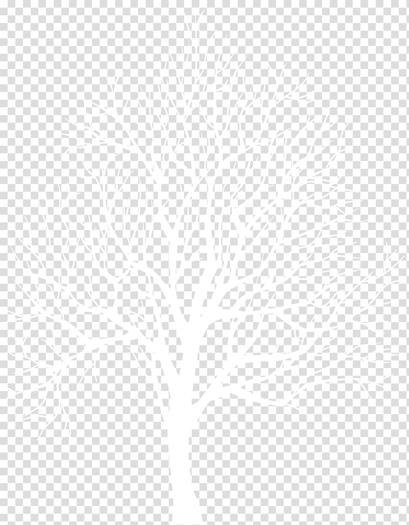 white bare tree illustration, Black and white Line Point Angle, Winter Tree Silhouette transparent background PNG clipart