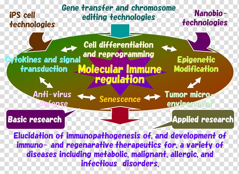 Human behavior Organism Line Font, line transparent background PNG clipart Human behavior Organism Line Font, line transparent background PNG clipart