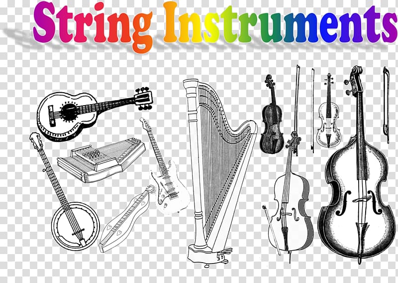 String Instruments Musical Instruments Family, musical instruments transparent background PNG clipart