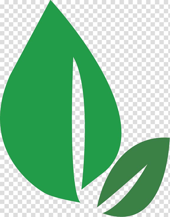 Logo Leaf Angle Font Brand, contraindications transparent background PNG clipart