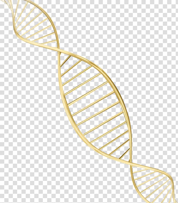 DNA , DNA Face Gene Color, Gold spiral material storm transparent background PNG clipart