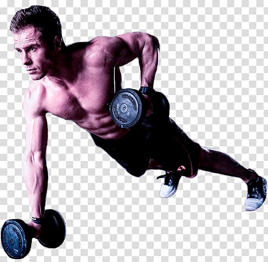 Weight training Exercise Architecture Barbell, artes marciales transparent background PNG clipart