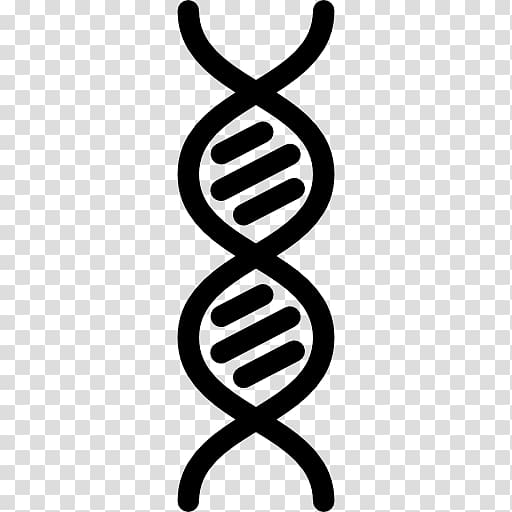 DNA Genetics Computer Icons, DNA transparent background PNG clipart
