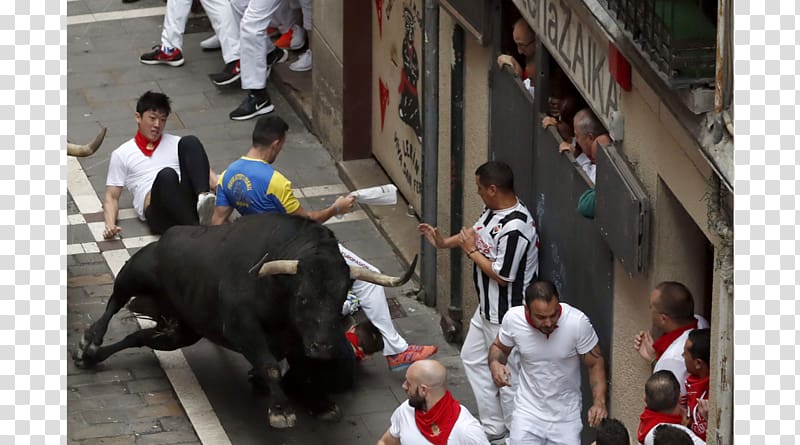 San Fermín Pamplona Running of the Bulls , bull transparent background PNG clipart