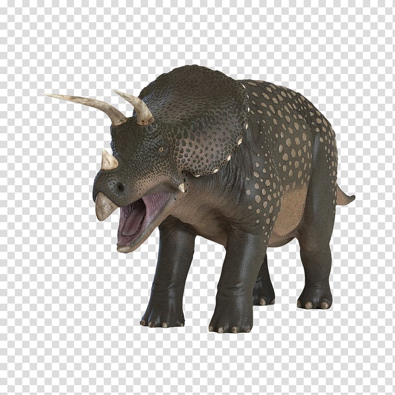 Triceratops Tyrannosaurus Plesiosauria Dinosaur, triangle dinosaur transparent background PNG clipart