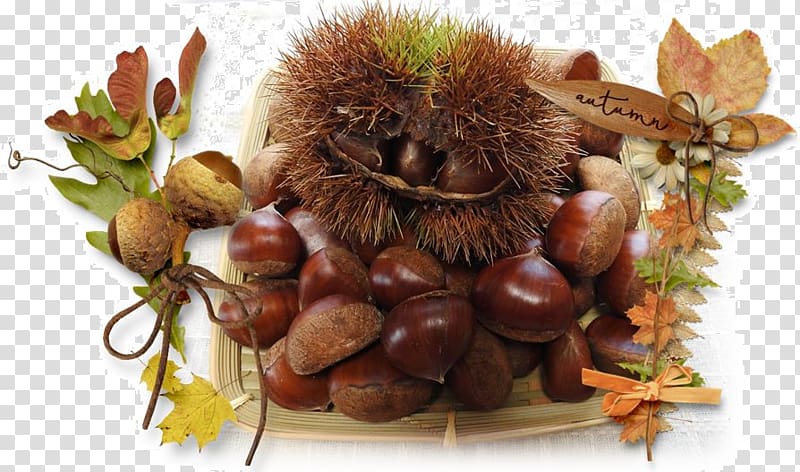 Chestnut, paddy rice transparent background PNG clipart
