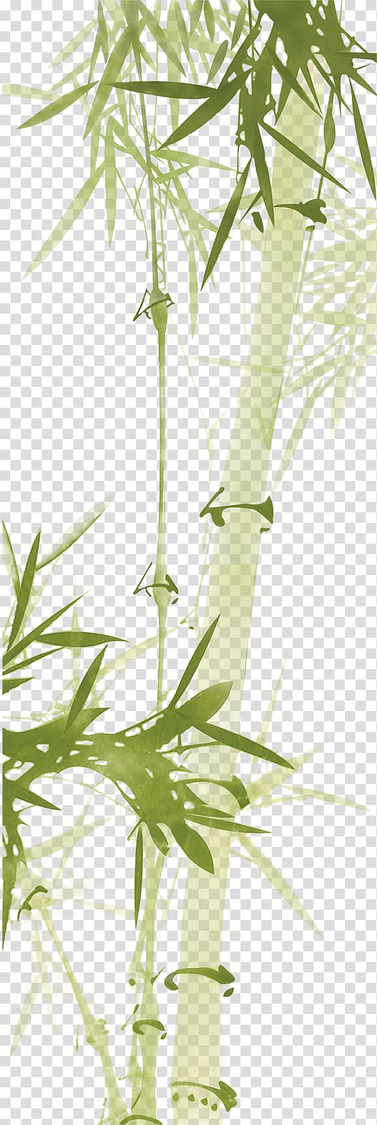 Bamboo Paper Computer file, Green Bamboo transparent background PNG clipart