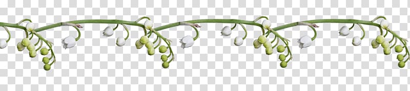 Lily of the valley .de Flower Blog Labour Day, lily of the valley transparent background PNG clipart